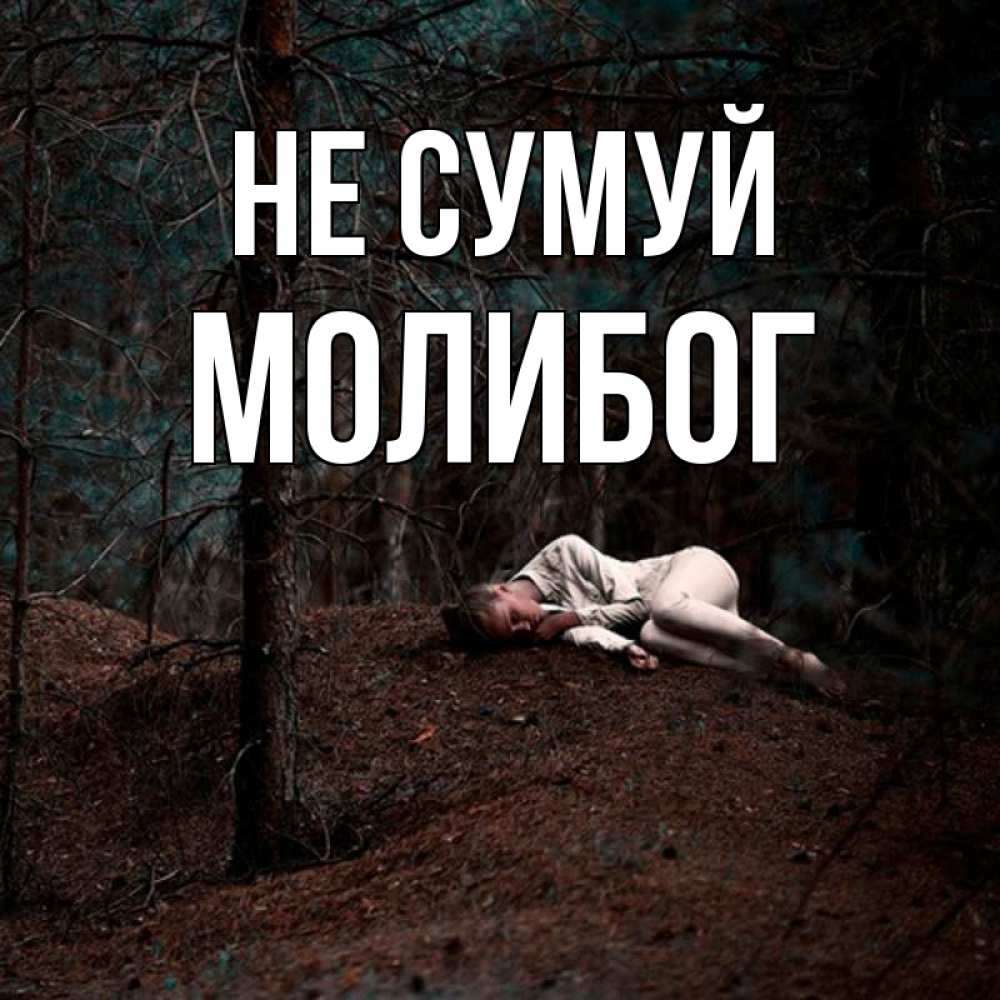 Открытка на каждый день з підписом, Молибог Не сумуй лес Прикольна листівка з побажанням онлайн скачати безкоштовно 