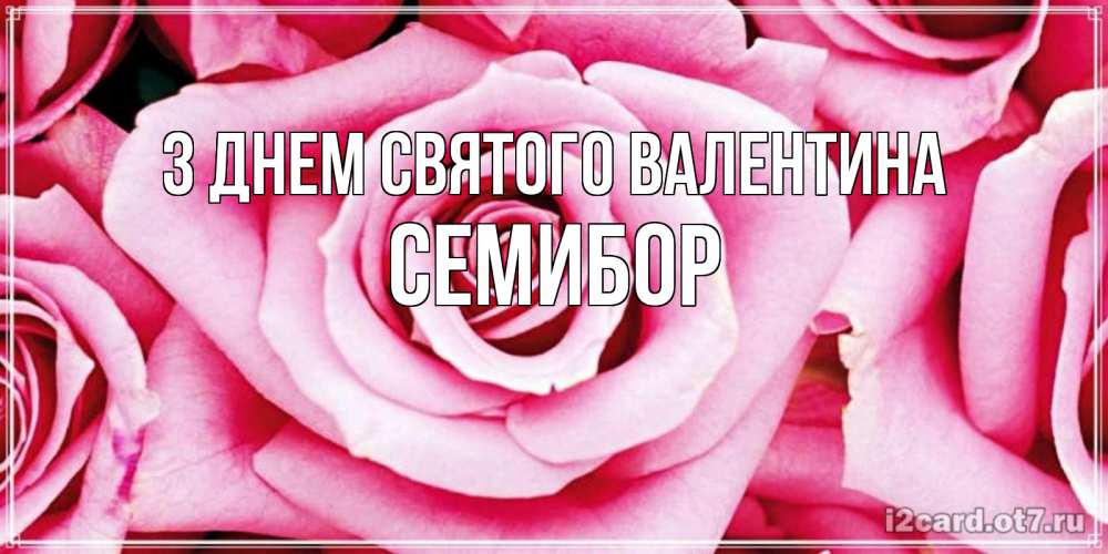 Открытка на каждый день з підписом, Семибор З Днем Святого Валентина роза розовая на день Святого Валентина Прикольна листівка з побажанням онлайн скачати безкоштовно 