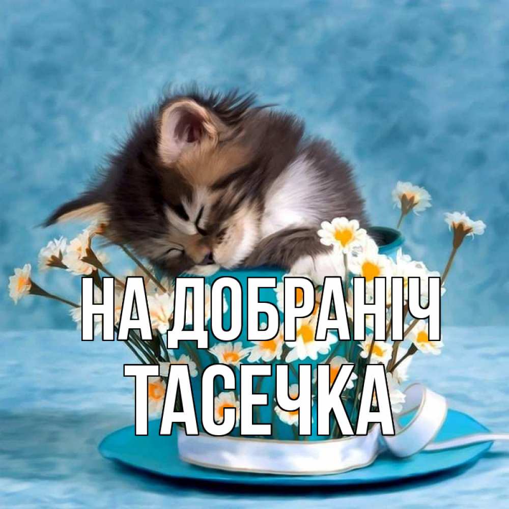 Открытка на каждый день з підписом, Тасечка На добраніч котенок спит в кружке с блюдцем Прикольна листівка з побажанням онлайн скачати безкоштовно 