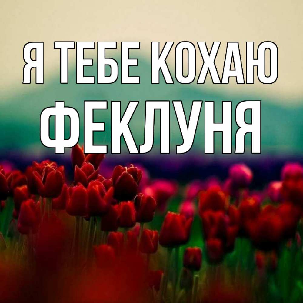 Открытка на каждый день з підписом, Феклуня Я тебе кохаю тюльпаны 4 Прикольна листівка з побажанням онлайн скачати безкоштовно 