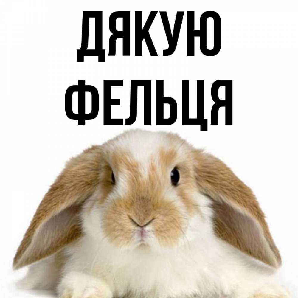 Открытка на каждый день з підписом, Фельця Дякую коричнево белый заяц Прикольна листівка з побажанням онлайн скачати безкоштовно 