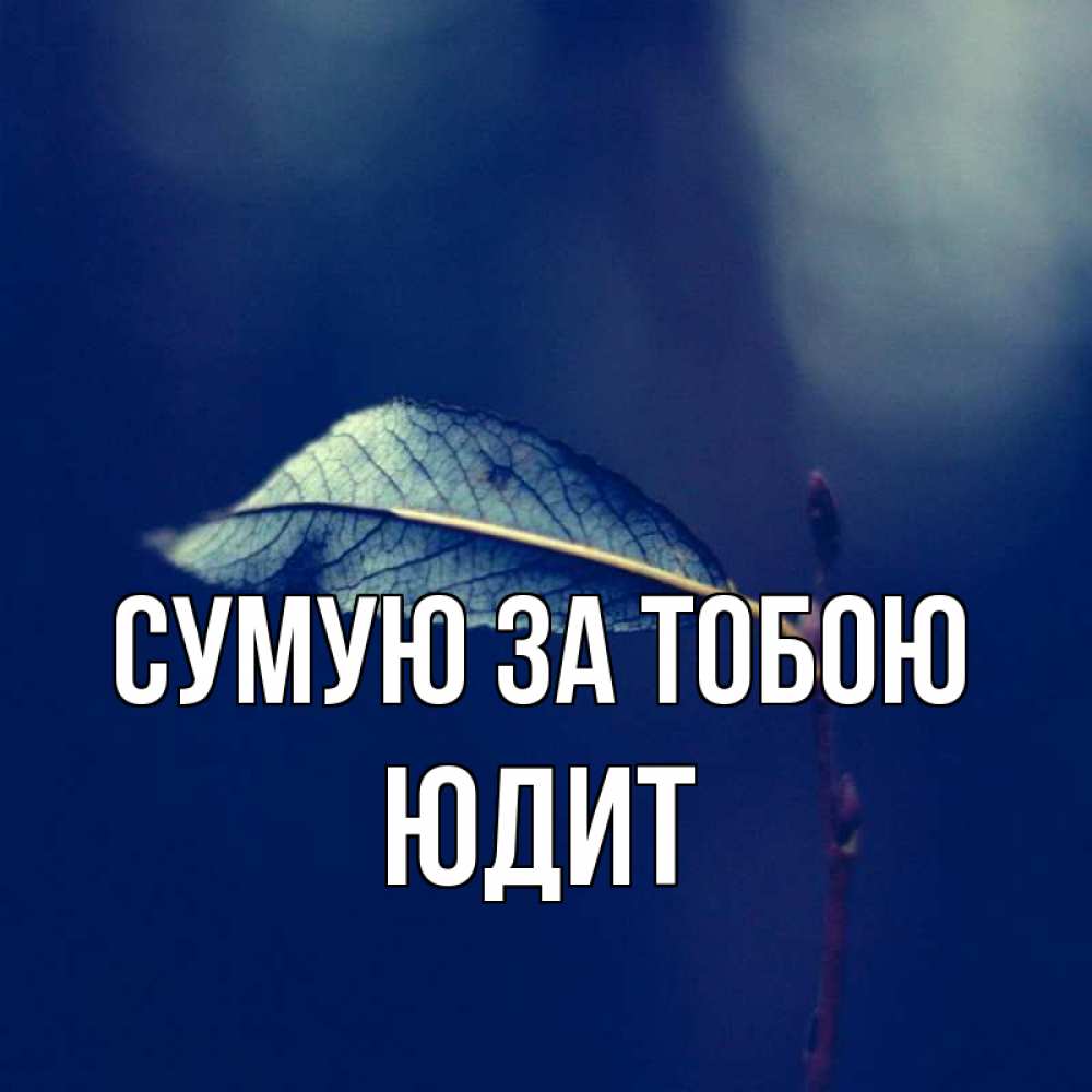 Открытка на каждый день з підписом, Юдит Сумую за тобою одна ветка 1 Прикольна листівка з побажанням онлайн скачати безкоштовно 
