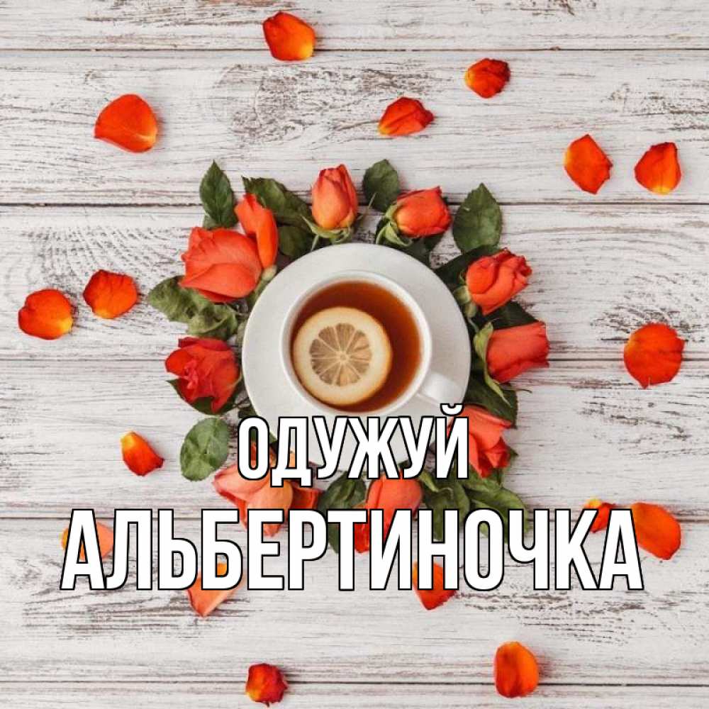 Открытка на каждый день з підписом, Альбертиночка Одужуй фон из досок Прикольна листівка з побажанням онлайн скачати безкоштовно 