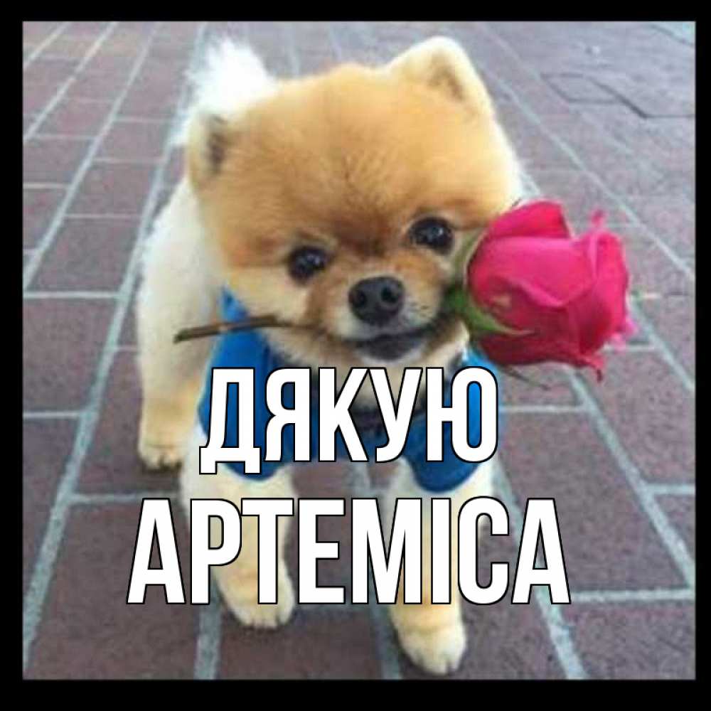 Открытка на каждый день з підписом, Артеміса Дякую спасибо и дарю тебе цветок Прикольна листівка з побажанням онлайн скачати безкоштовно 