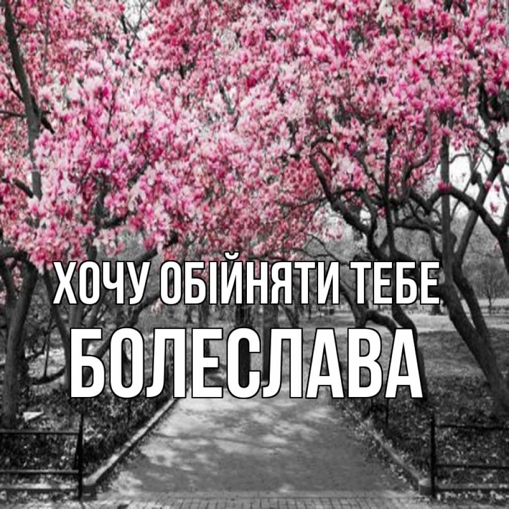 Открытка на каждый день з підписом, Болеслава Хочу обійняти тебе обработанное фото Прикольна листівка з побажанням онлайн скачати безкоштовно 