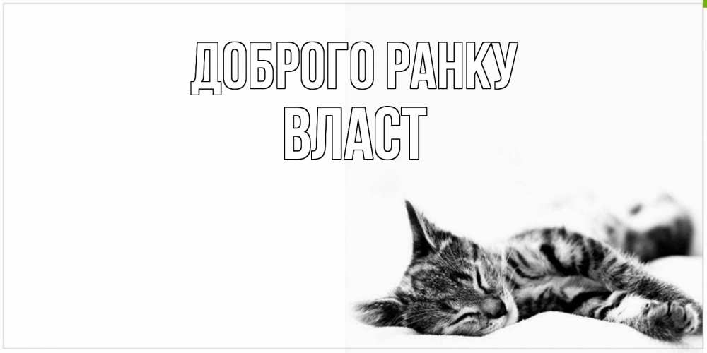 Открытка на каждый день з підписом, Власт Доброго ранку котуся Прикольна листівка з побажанням онлайн скачати безкоштовно 
