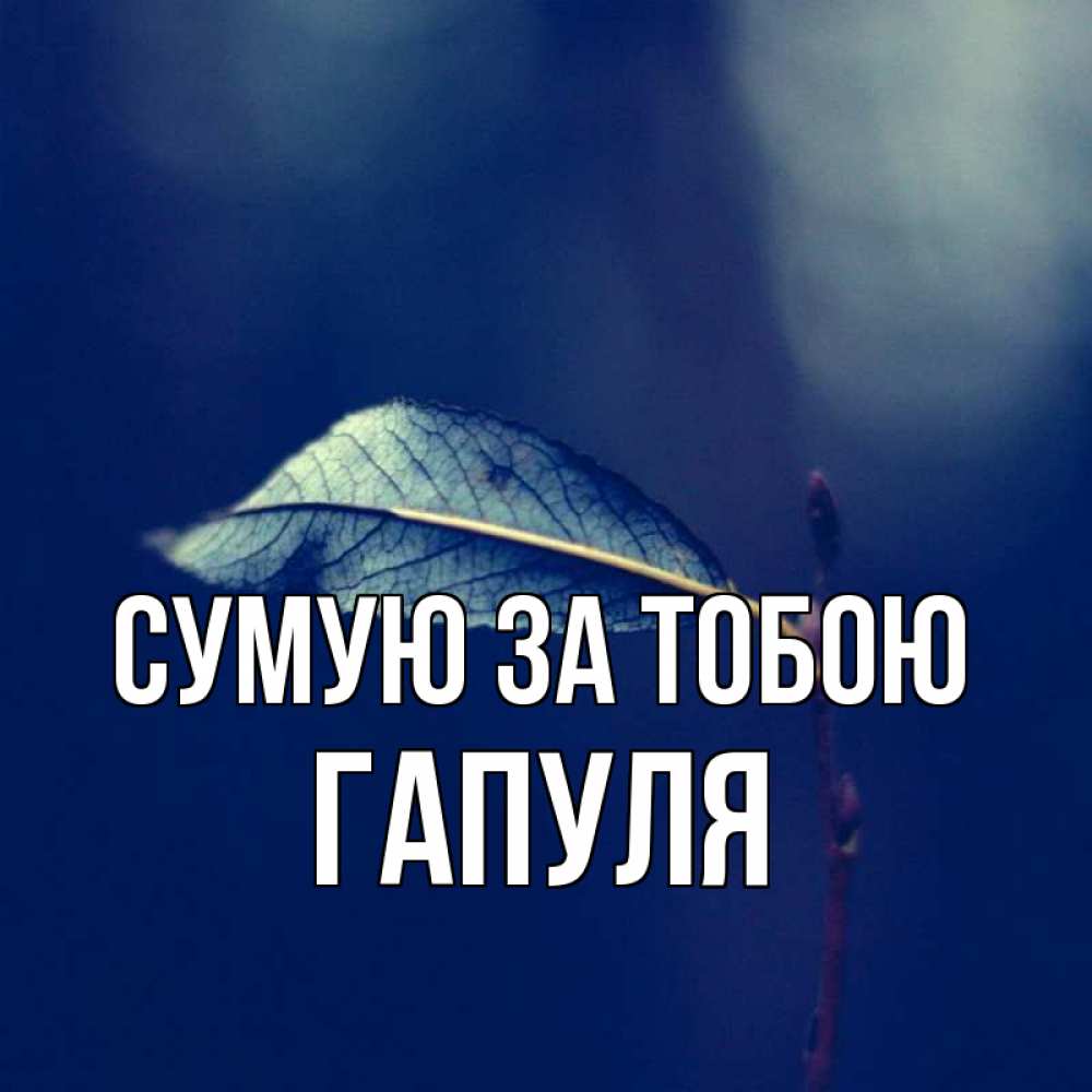 Открытка на каждый день з підписом, Гапуля Сумую за тобою одна ветка 1 Прикольна листівка з побажанням онлайн скачати безкоштовно 