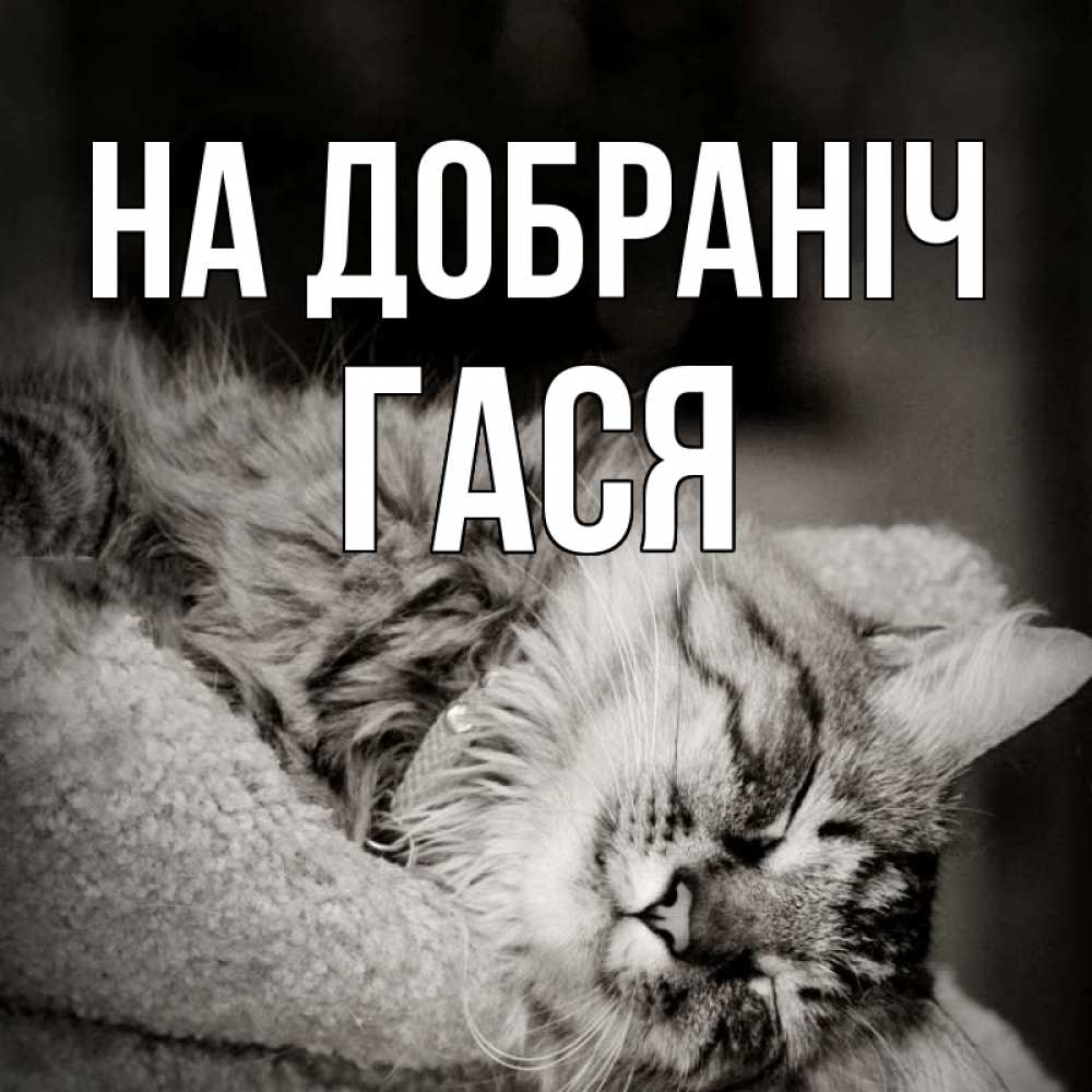 Открытка на каждый день з підписом, Гася На добраніч котярик пушистый Прикольна листівка з побажанням онлайн скачати безкоштовно 