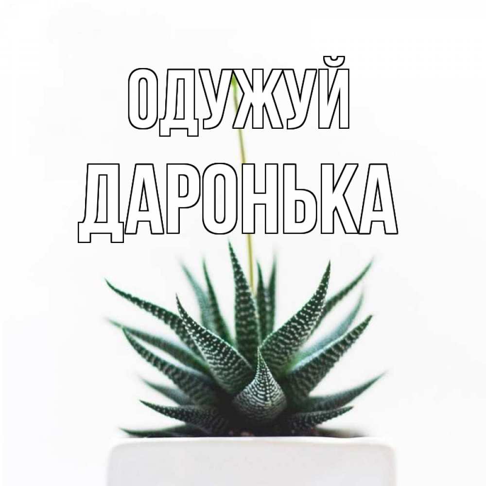 Открытка на каждый день з підписом, Даронька Одужуй короче это непонятная колючка Прикольна листівка з побажанням онлайн скачати безкоштовно 