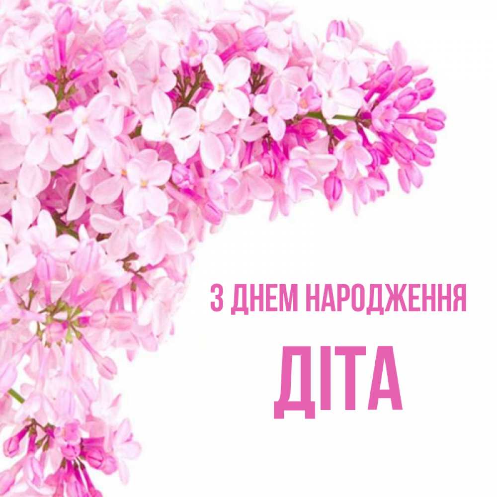 Открытка на каждый день з підписом, Діта З Днем народження Сирень на белом фоне Прикольна листівка з побажанням онлайн скачати безкоштовно 