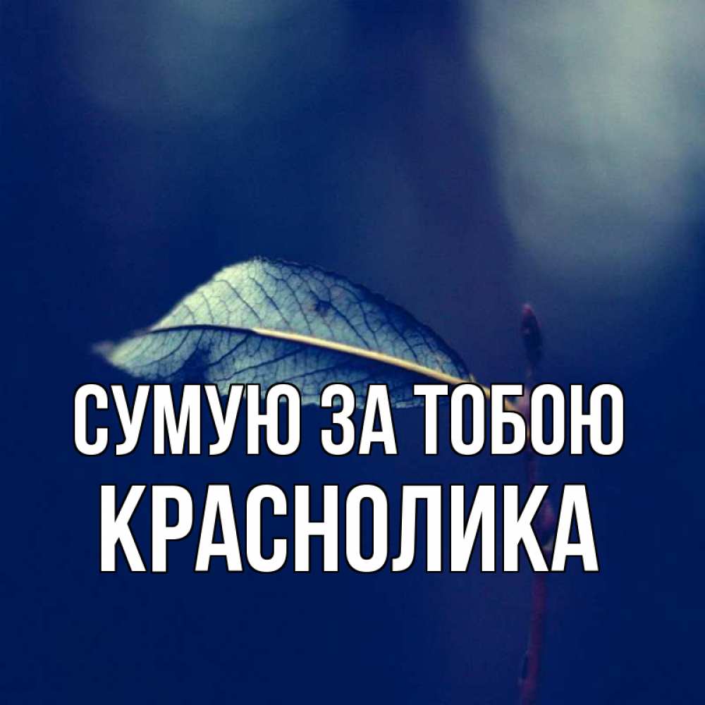 Открытка на каждый день з підписом, Краснолика Сумую за тобою одна ветка 1 Прикольна листівка з побажанням онлайн скачати безкоштовно 