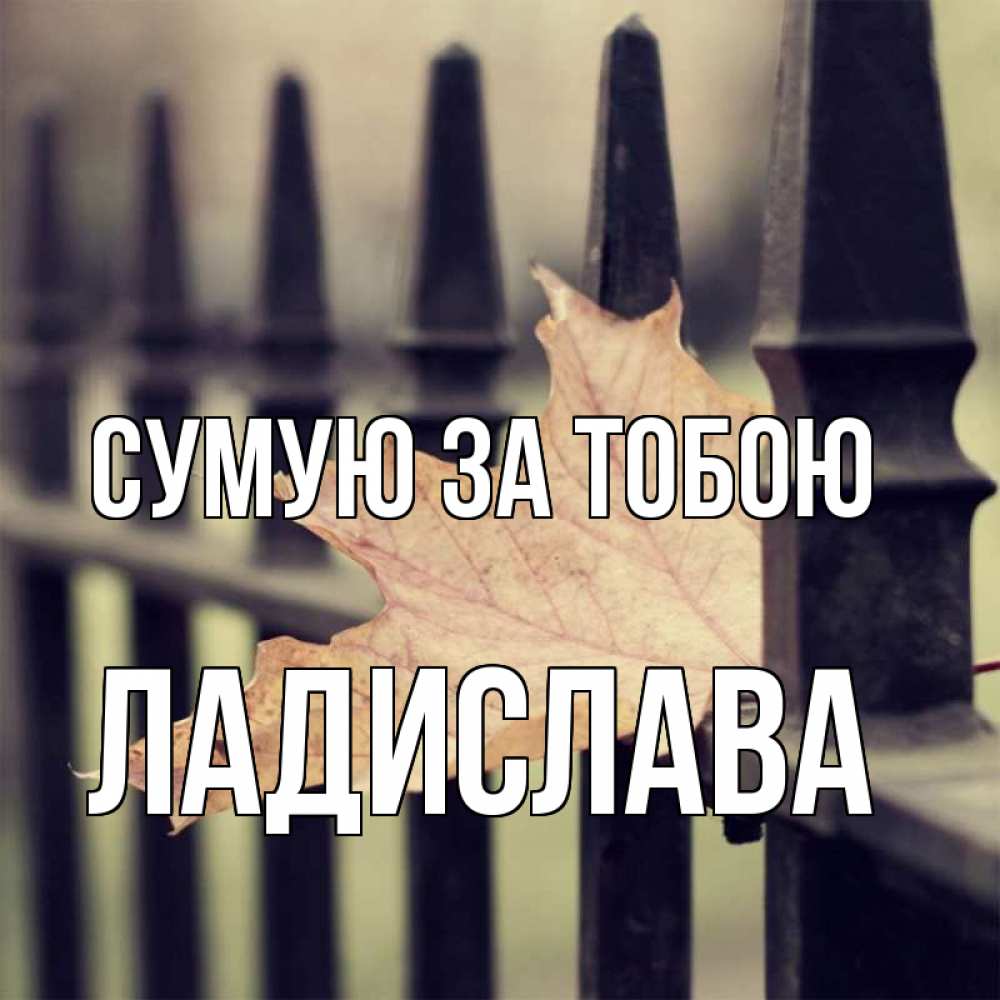 Открытка на каждый день з підписом, Ладислава Сумую за тобою очень скучно Прикольна листівка з побажанням онлайн скачати безкоштовно 