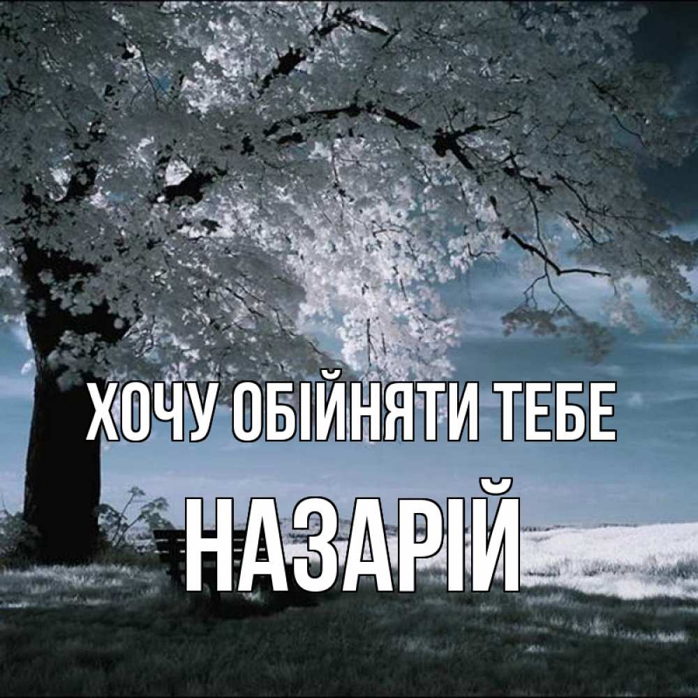 Открытка на каждый день з підписом, Назарій Хочу обійняти тебе дерево Прикольна листівка з побажанням онлайн скачати безкоштовно 