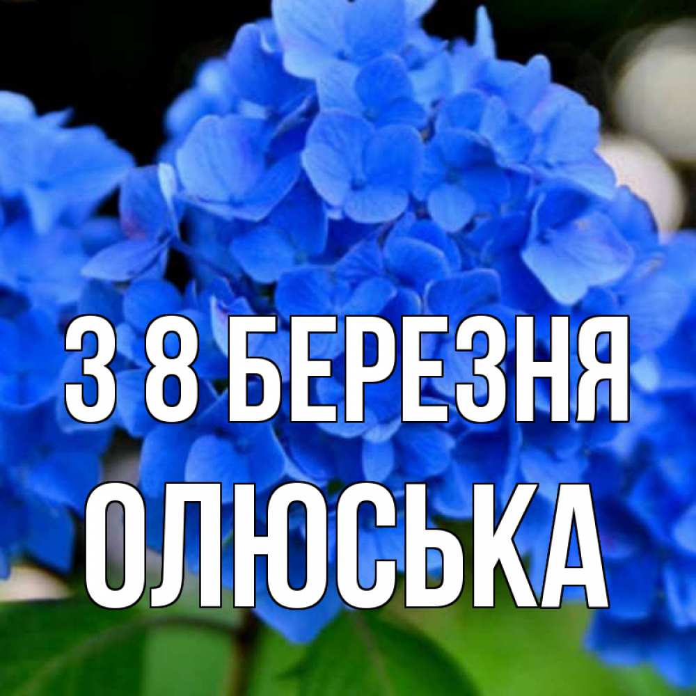 Открытка на каждый день з підписом, Олюська З 8 БЕРЕЗНЯ синие цветы Прикольна листівка з побажанням онлайн скачати безкоштовно 