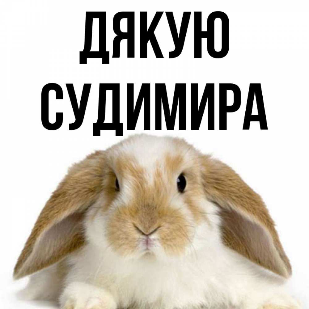 Открытка на каждый день з підписом, Судимира Дякую коричнево белый заяц Прикольна листівка з побажанням онлайн скачати безкоштовно 