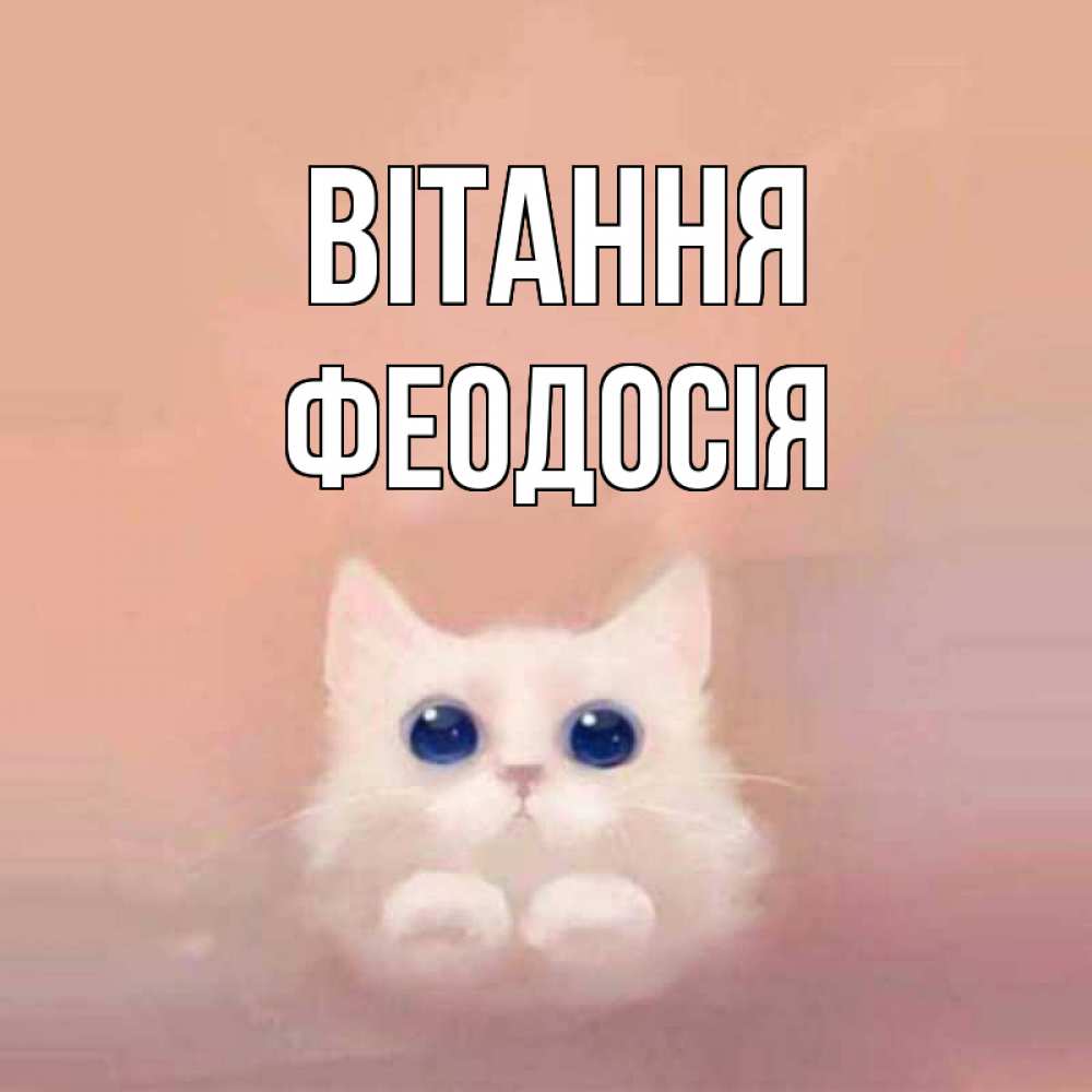 Открытка на каждый день з підписом, Феодосія Вітання котик белый в полете Прикольна листівка з побажанням онлайн скачати безкоштовно 