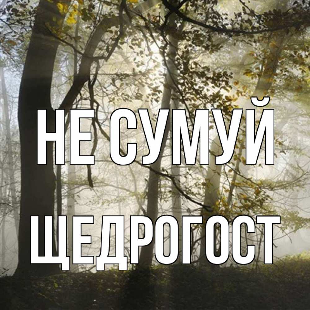 Открытка на каждый день з підписом, Щедрогост Не сумуй лес и свет Прикольна листівка з побажанням онлайн скачати безкоштовно 