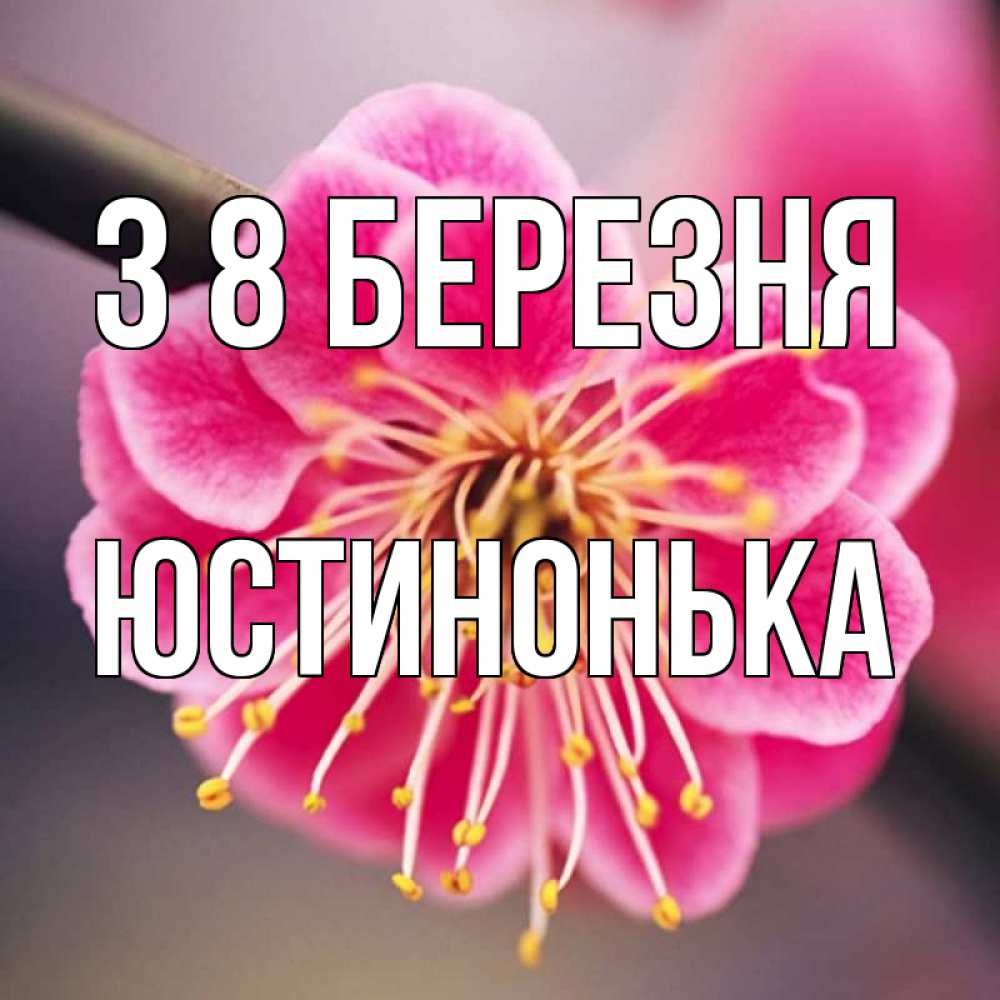 Открытка на каждый день з підписом, Юстинонька З 8 БЕРЕЗНЯ цветы Прикольна листівка з побажанням онлайн скачати безкоштовно 