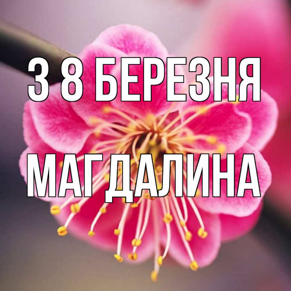 Открытка на каждый день з підписом, Магдалина З 8 БЕРЕЗНЯ цветы Прикольна листівка з побажанням онлайн скачати безкоштовно 