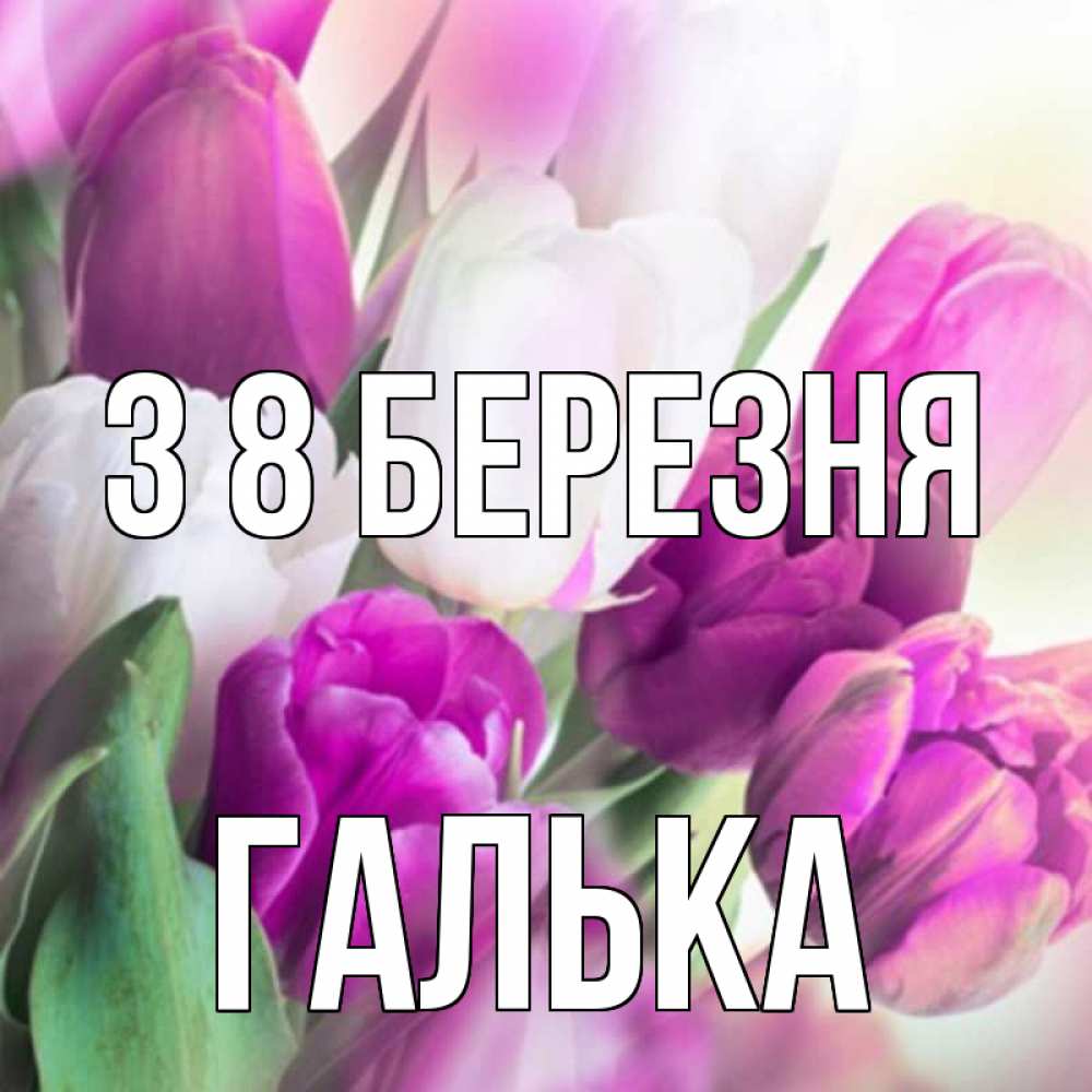 Открытка на каждый день з підписом, Галька З 8 БЕРЕЗНЯ весна 1 Прикольна листівка з побажанням онлайн скачати безкоштовно 