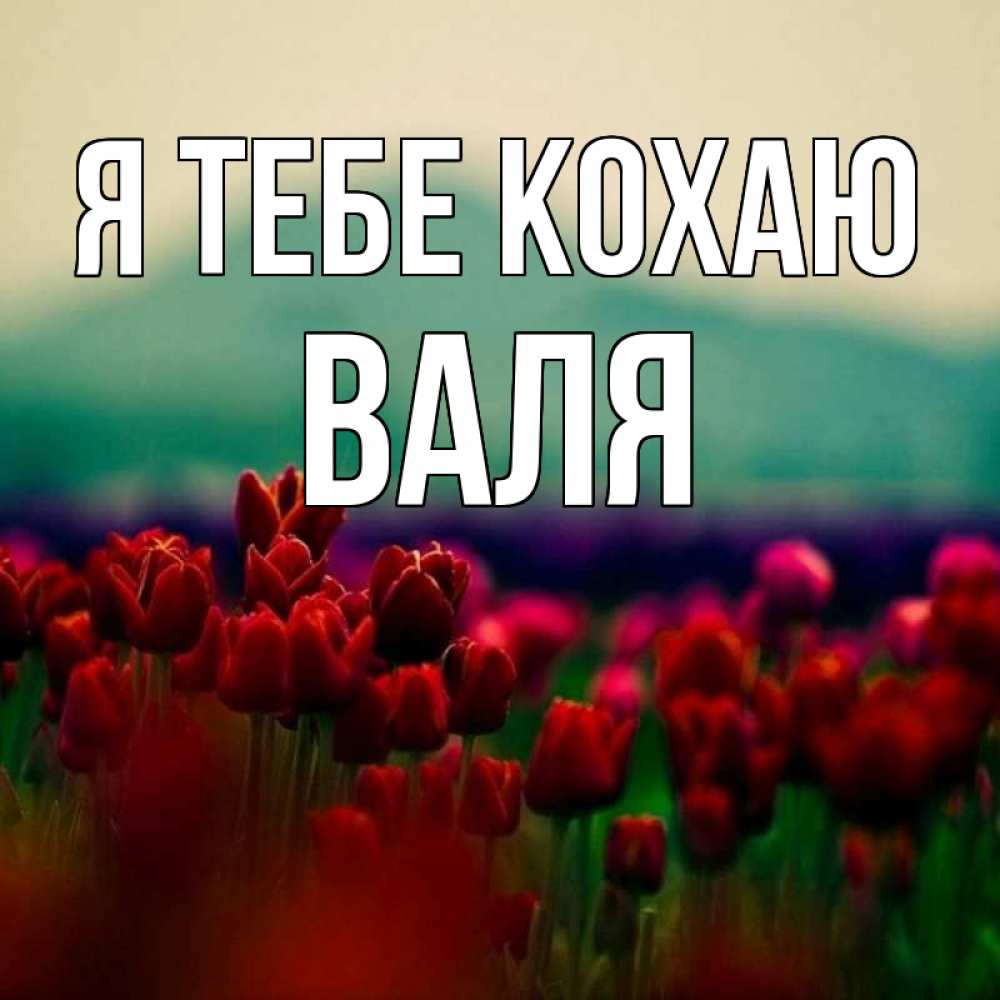 Открытка на каждый день з підписом, Валя Я тебе кохаю тюльпаны 4 Прикольна листівка з побажанням онлайн скачати безкоштовно 