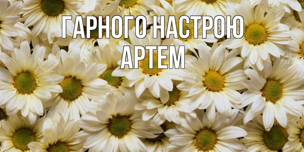 Открытка на каждый день з підписом, Артем Гарного настрою крупные ромашки Прикольна листівка з побажанням онлайн скачати безкоштовно 