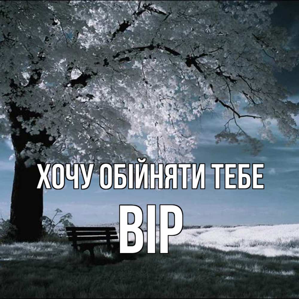 Открытка на каждый день з підписом, Вір Хочу обійняти тебе дерево Прикольна листівка з побажанням онлайн скачати безкоштовно 