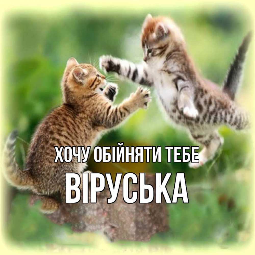 Открытка на каждый день з підписом, Віруська Хочу обійняти тебе игры котят Прикольна листівка з побажанням онлайн скачати безкоштовно 
