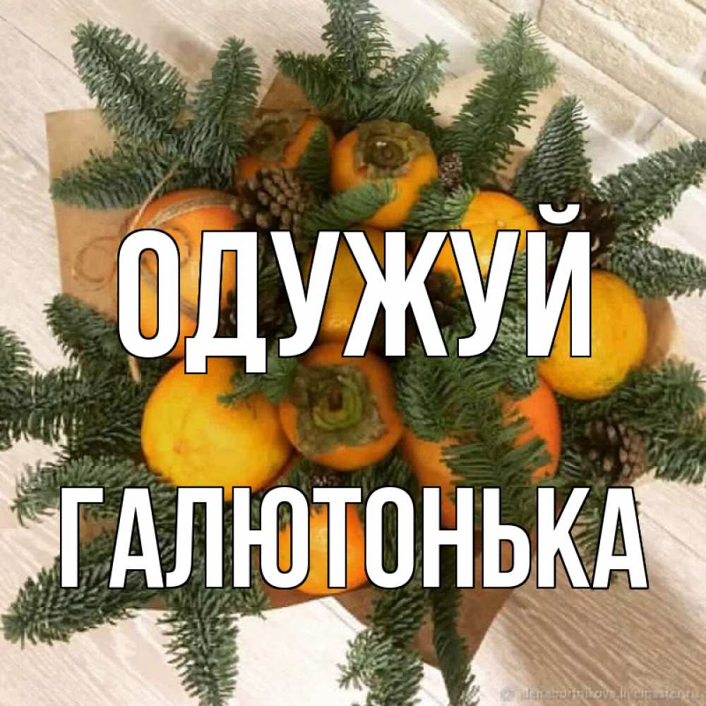 Открытка на каждый день з підписом, Галютонька Одужуй апельсины и хурьма Прикольна листівка з побажанням онлайн скачати безкоштовно 