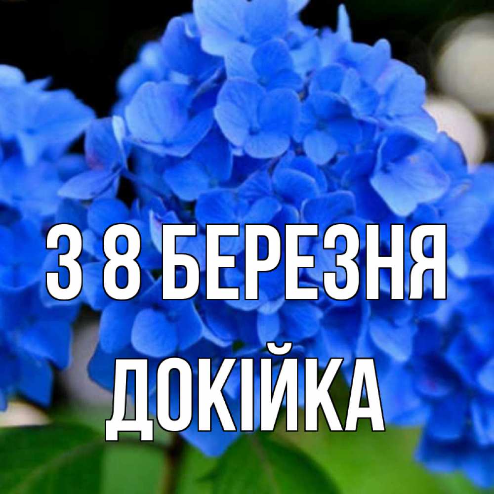 Открытка на каждый день з підписом, Докійка З 8 БЕРЕЗНЯ синие цветы Прикольна листівка з побажанням онлайн скачати безкоштовно 