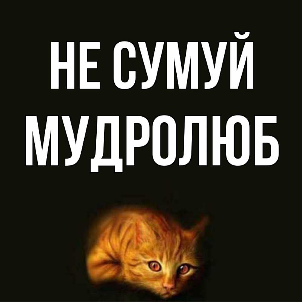 Открытка на каждый день з підписом, Мудролюб Не сумуй лежащий кот в темноте Прикольна листівка з побажанням онлайн скачати безкоштовно 