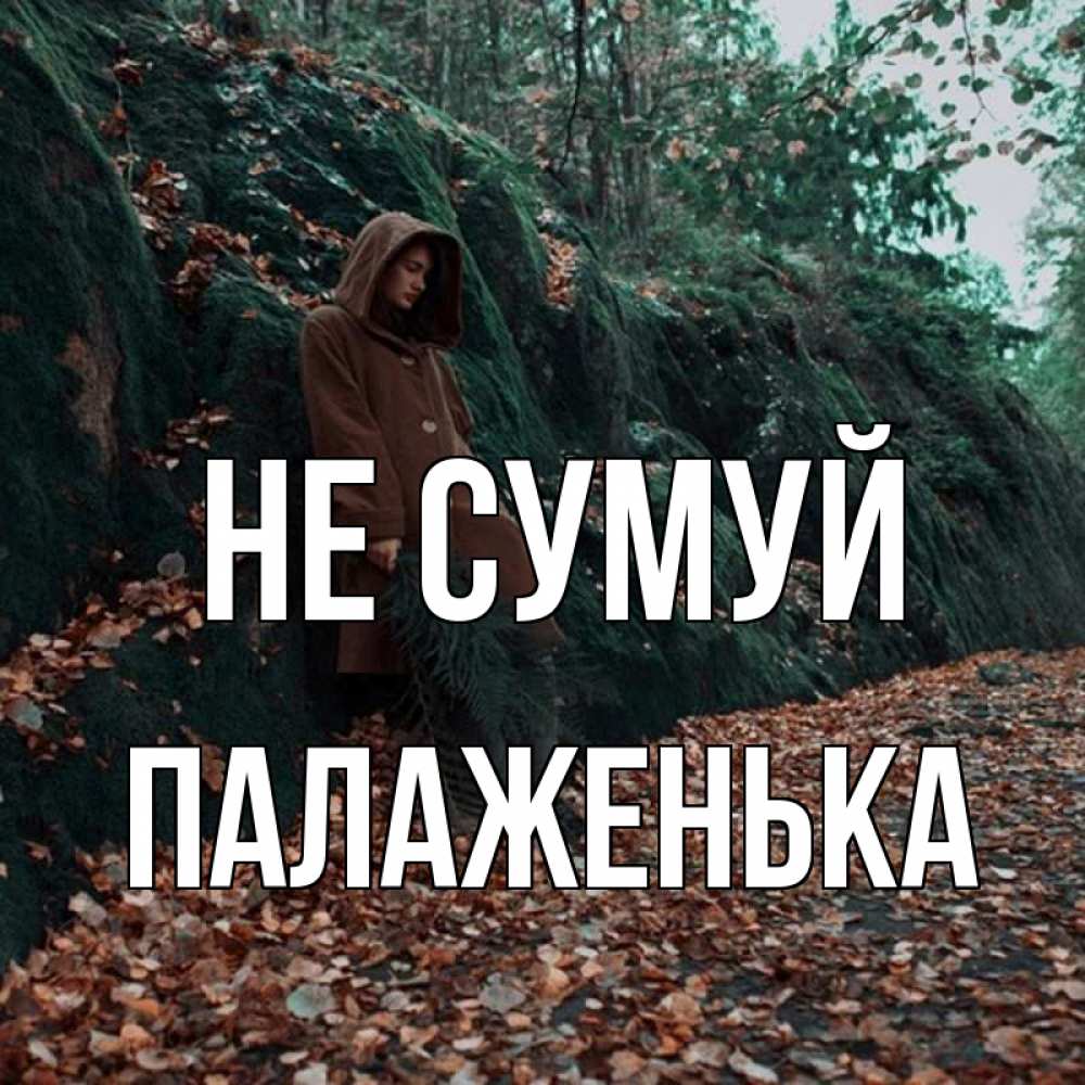 Открытка на каждый день з підписом, Палаженька Не сумуй осенний лес Прикольна листівка з побажанням онлайн скачати безкоштовно 