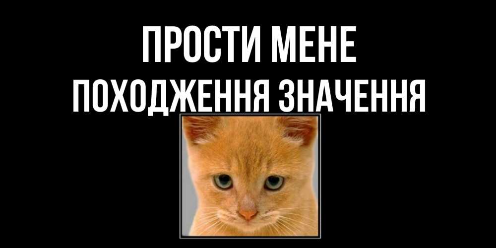 Открытка на каждый день з підписом, Походження,-значення Прости мене рыжий грустный кот просит прощения Прикольна листівка з побажанням онлайн скачати безкоштовно 