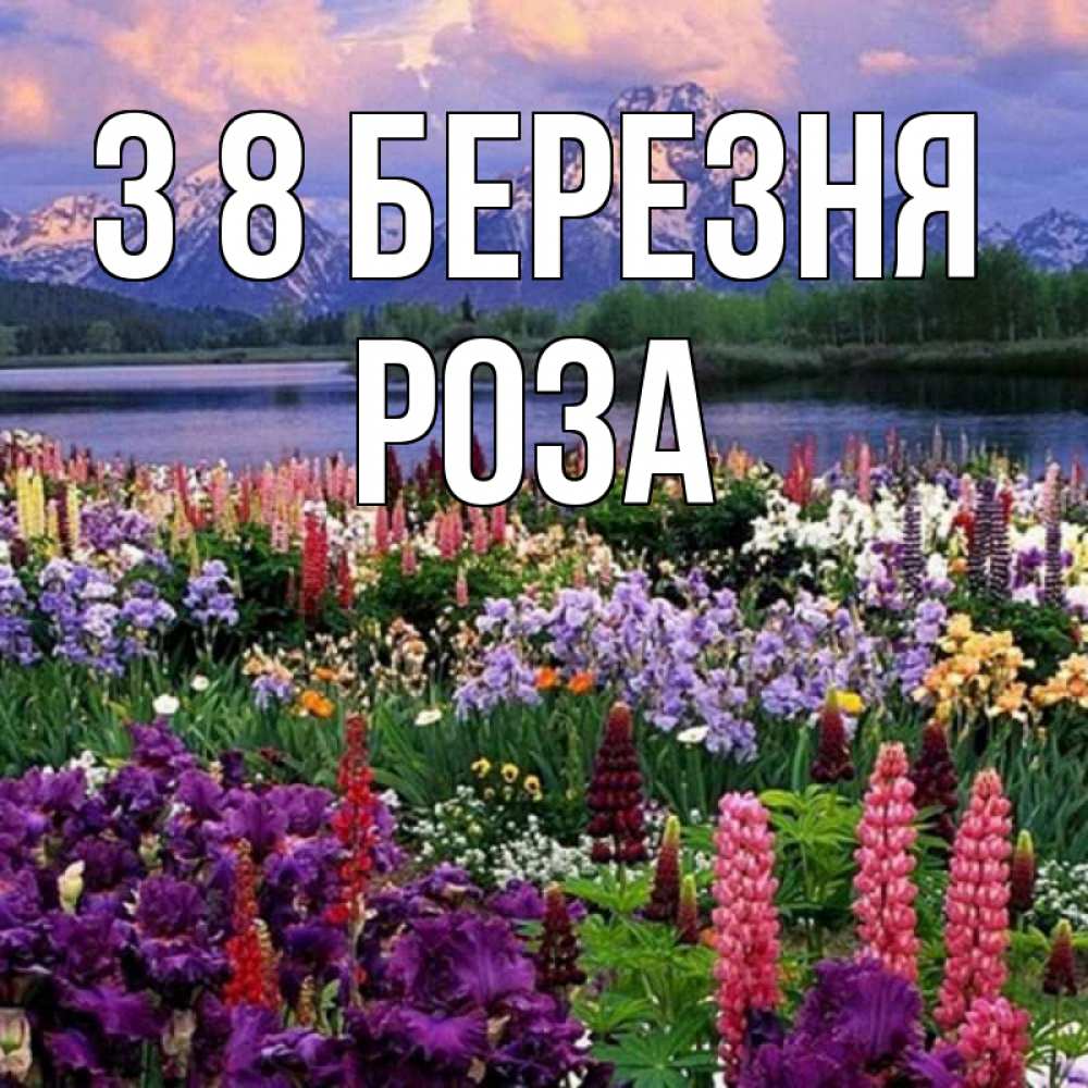 Открытка на каждый день з підписом, Роза З 8 БЕРЕЗНЯ международный женский день Прикольна листівка з побажанням онлайн скачати безкоштовно 