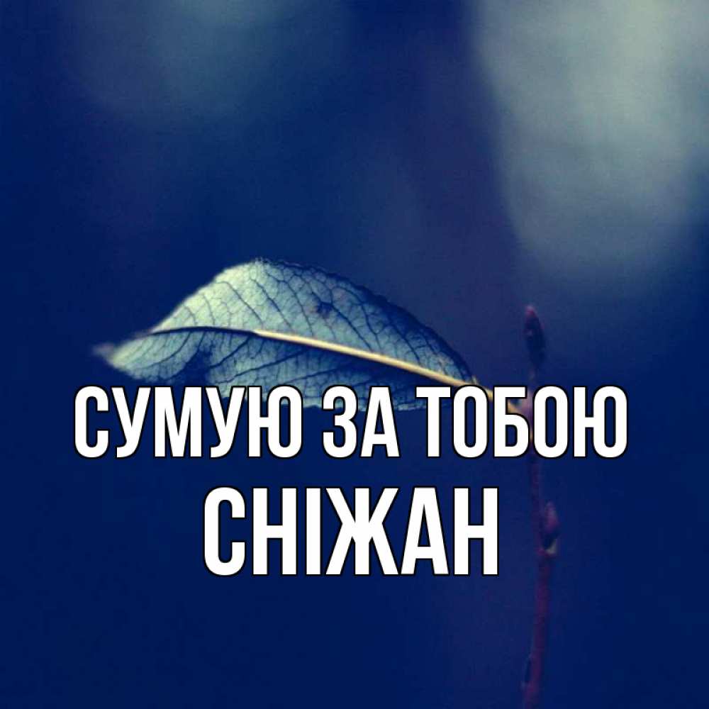 Открытка на каждый день з підписом, Сніжан Сумую за тобою одна ветка 1 Прикольна листівка з побажанням онлайн скачати безкоштовно 