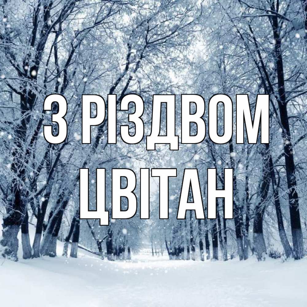 Открытка на каждый день з підписом, Цвітан З Різдвом снег, лес, парк Прикольна листівка з побажанням онлайн скачати безкоштовно 