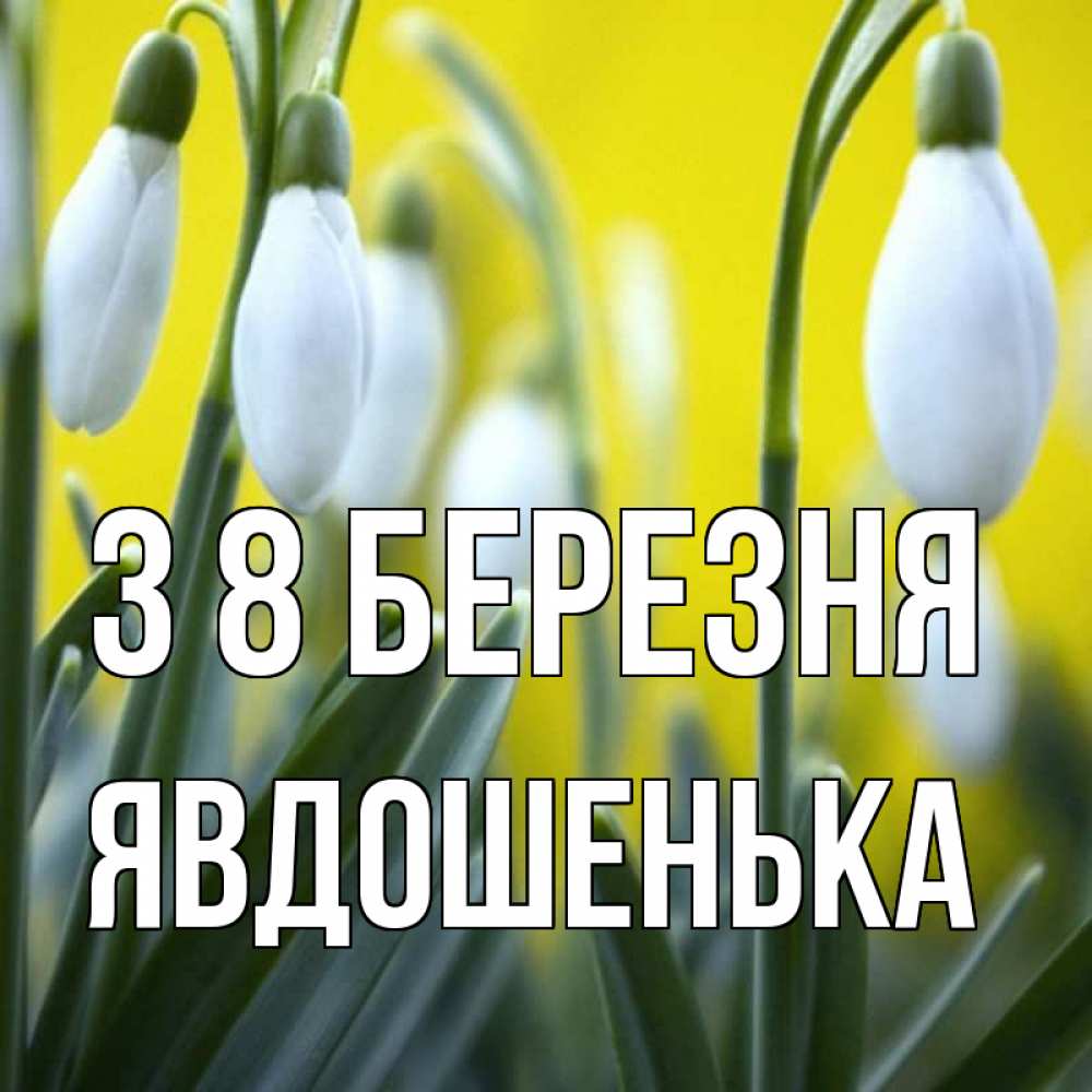 Открытка на каждый день з підписом, Явдошенька З 8 БЕРЕЗНЯ весенние цветы Прикольна листівка з побажанням онлайн скачати безкоштовно 