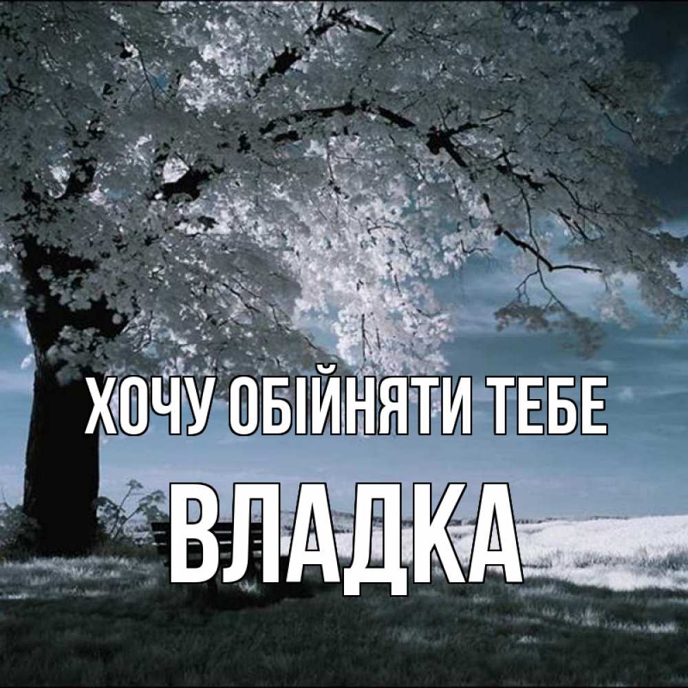 Открытка на каждый день з підписом, Владка Хочу обійняти тебе дерево Прикольна листівка з побажанням онлайн скачати безкоштовно 