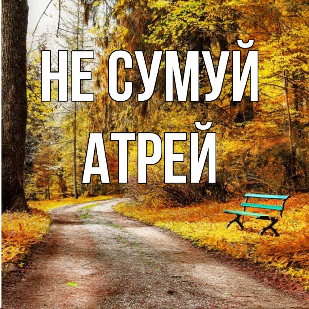 Открытка на каждый день з підписом, Атрей Не сумуй зеленая лавочка Прикольна листівка з побажанням онлайн скачати безкоштовно 