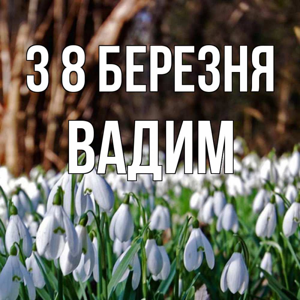 Открытка на каждый день з підписом, Вадим З 8 БЕРЕЗНЯ с подснежниками 1 Прикольна листівка з побажанням онлайн скачати безкоштовно 