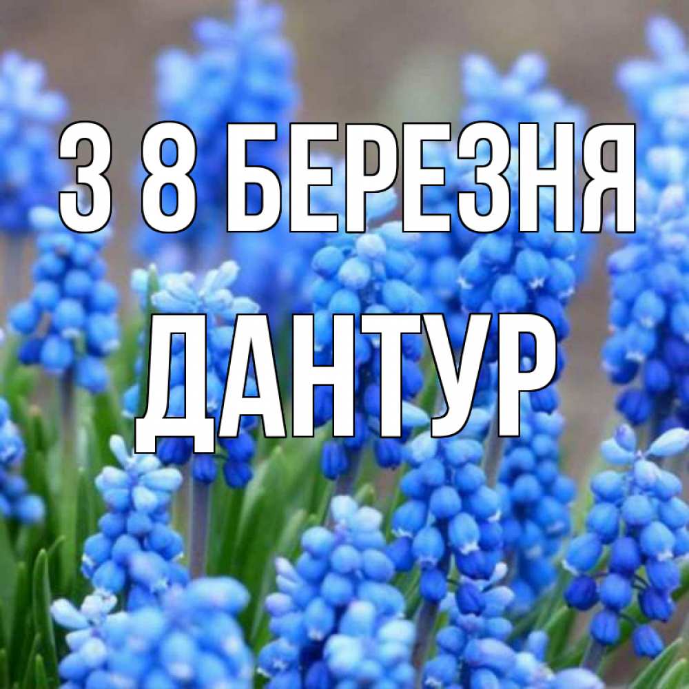 Открытка на каждый день з підписом, Дантур З 8 БЕРЕЗНЯ Поздравительная открытка для женщин с цветами на праздничную дату Прикольна листівка з побажанням онлайн скачати безкоштовно 