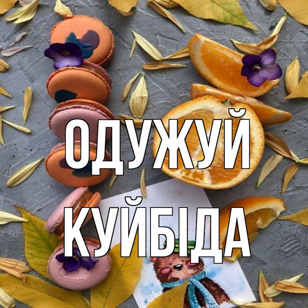 Открытка на каждый день з підписом, Куйбіда Одужуй не болейте Прикольна листівка з побажанням онлайн скачати безкоштовно 
