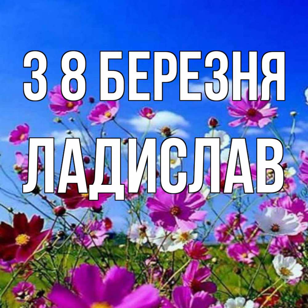 Открытка на каждый день з підписом, Ладислав З 8 БЕРЕЗНЯ цветы Прикольна листівка з побажанням онлайн скачати безкоштовно 