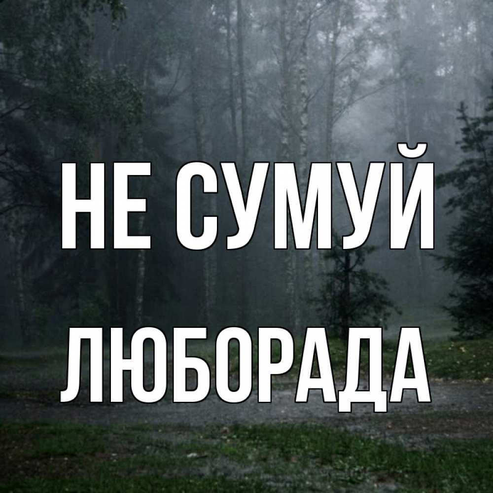 Открытка на каждый день з підписом, Люборада Не сумуй осень Прикольна листівка з побажанням онлайн скачати безкоштовно 