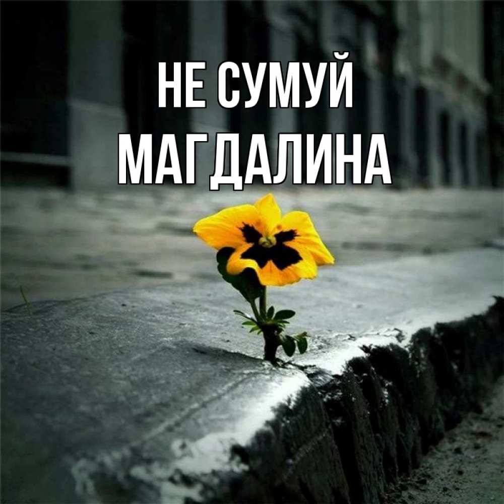 Открытка на каждый день з підписом, Магдалина Не сумуй не сдавайся Прикольна листівка з побажанням онлайн скачати безкоштовно 
