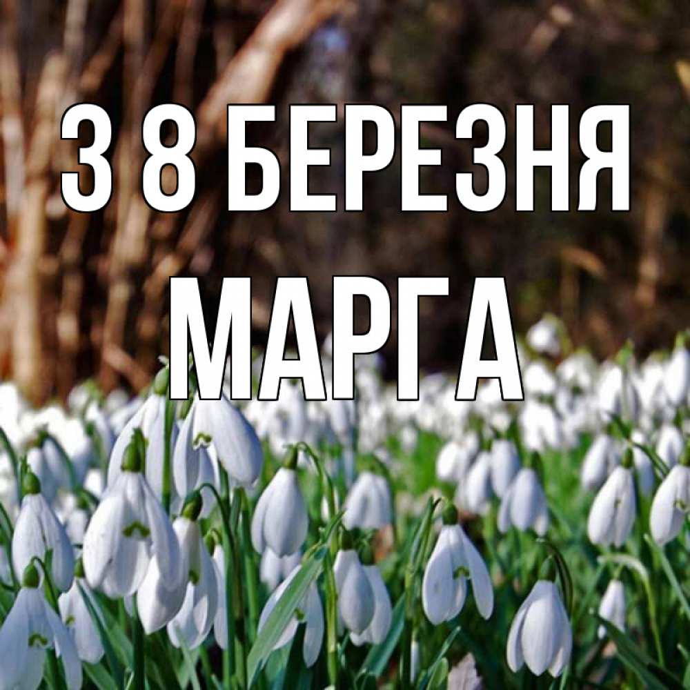 Открытка на каждый день з підписом, Марга З 8 БЕРЕЗНЯ с подснежниками 1 Прикольна листівка з побажанням онлайн скачати безкоштовно 