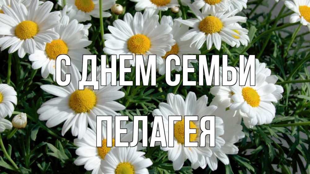 Открытка на каждый день з підписом, Пелагея С днем семьи с днем семьи Прикольна листівка з побажанням онлайн скачати безкоштовно 