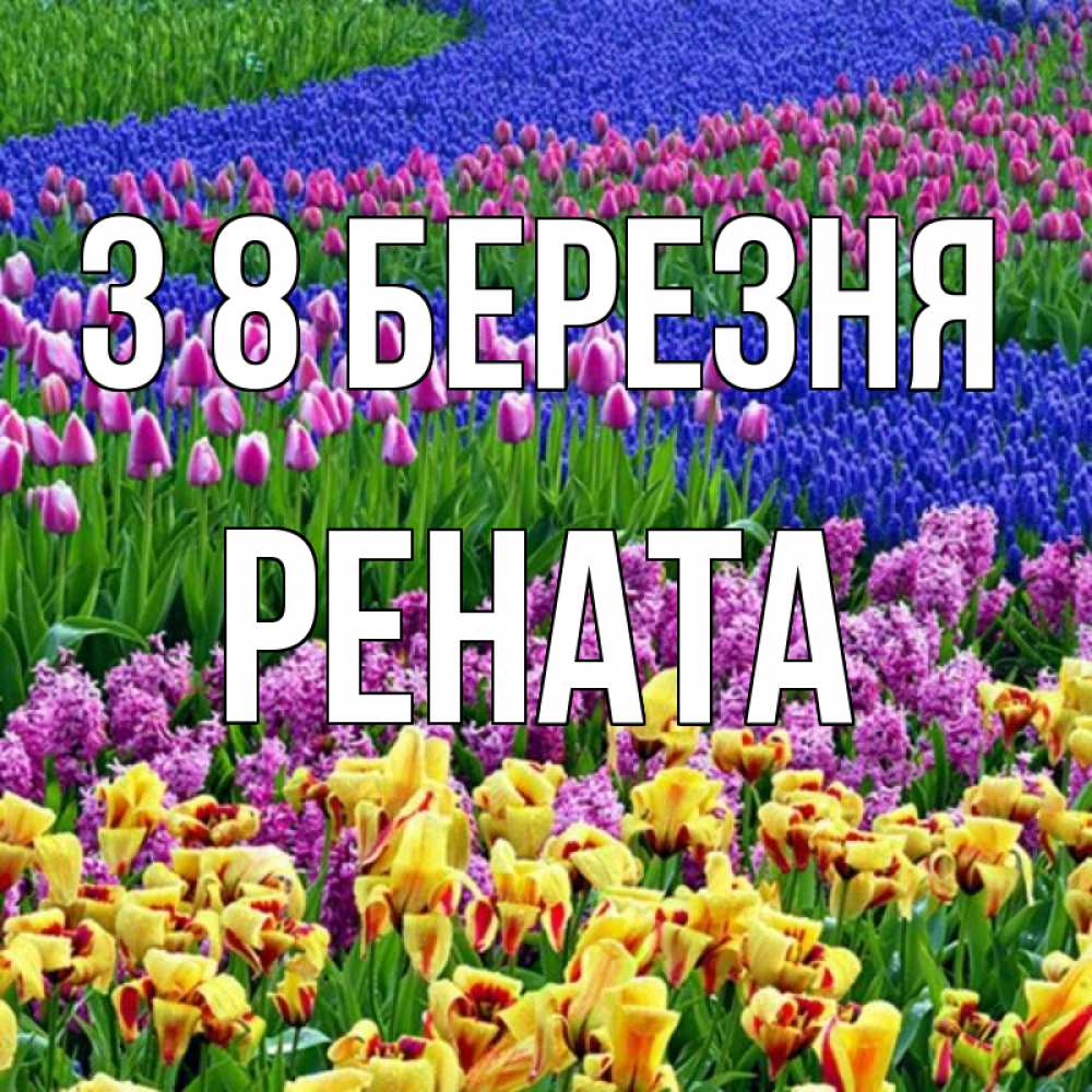 Открытка на каждый день з підписом, Рената З 8 БЕРЕЗНЯ цветы Прикольна листівка з побажанням онлайн скачати безкоштовно 