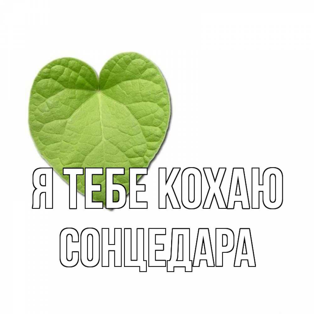 Открытка на каждый день з підписом, Сонцедара Я тебе кохаю тебе Прикольна листівка з побажанням онлайн скачати безкоштовно 
