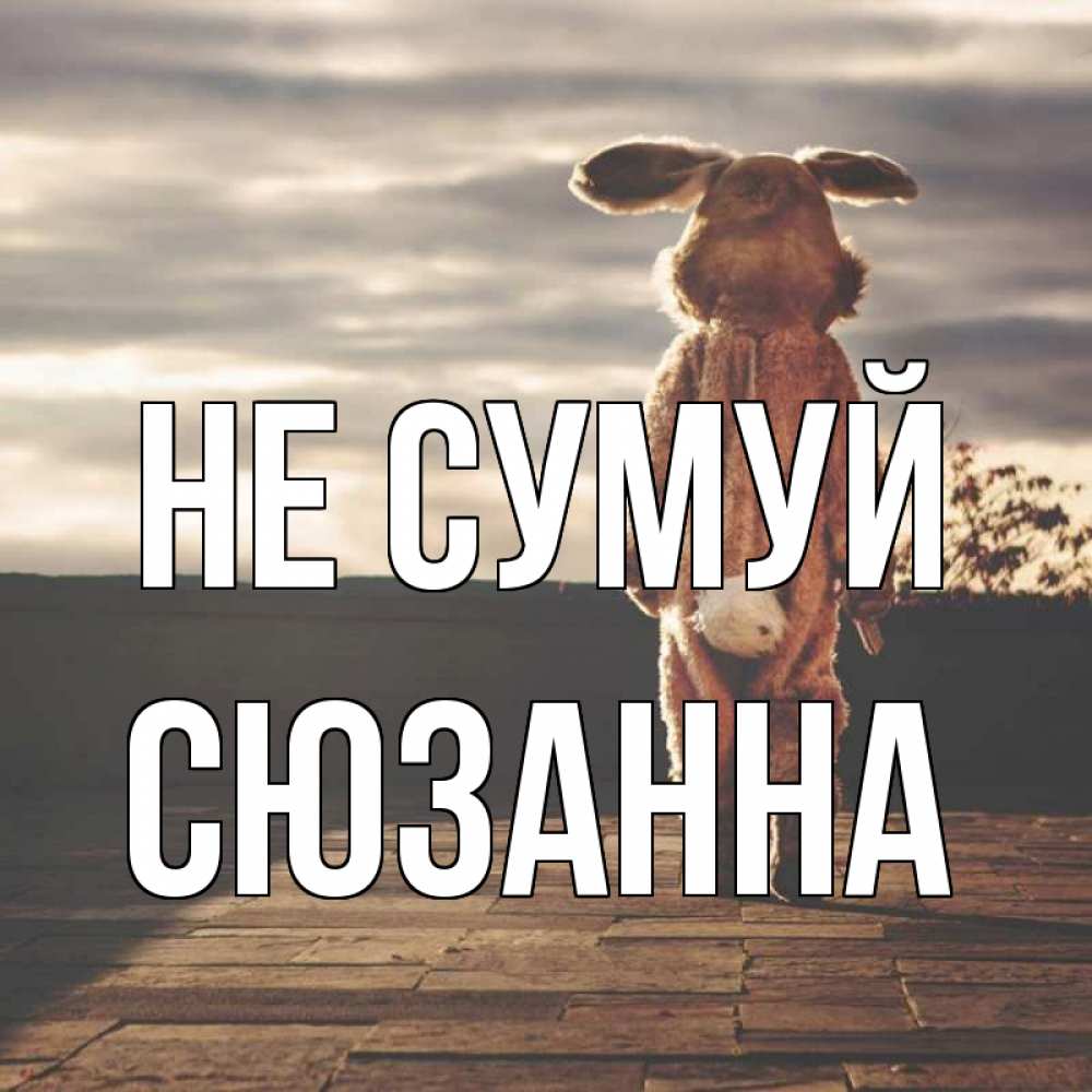 Открытка на каждый день з підписом, Сюзанна Не сумуй со спины Прикольна листівка з побажанням онлайн скачати безкоштовно 